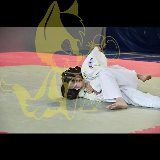  Selectionner la photo 