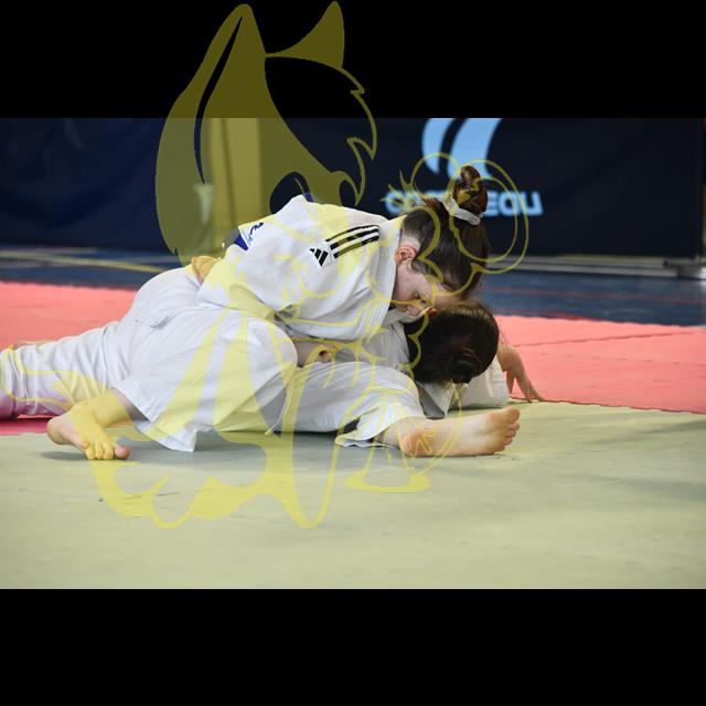  Selectionner la photo 