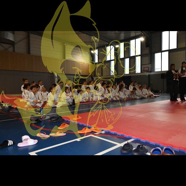  Selectionner la photo 